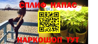 гашик Краснодар